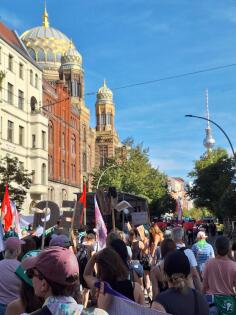 Blick in den Zug der Demonstrierenden