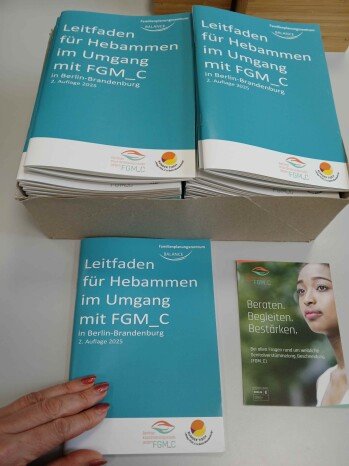 Hebammenleitfaden aktualisiertl.jpg