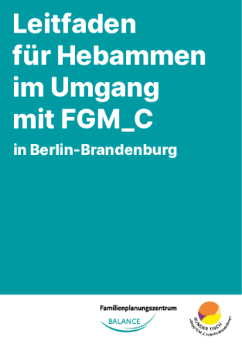 Hebammenleitfaden (PDF)